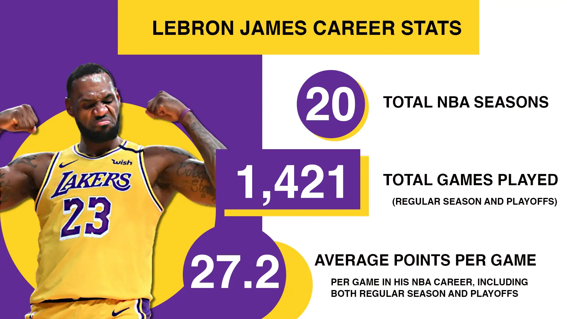 LeBron James Career Stats